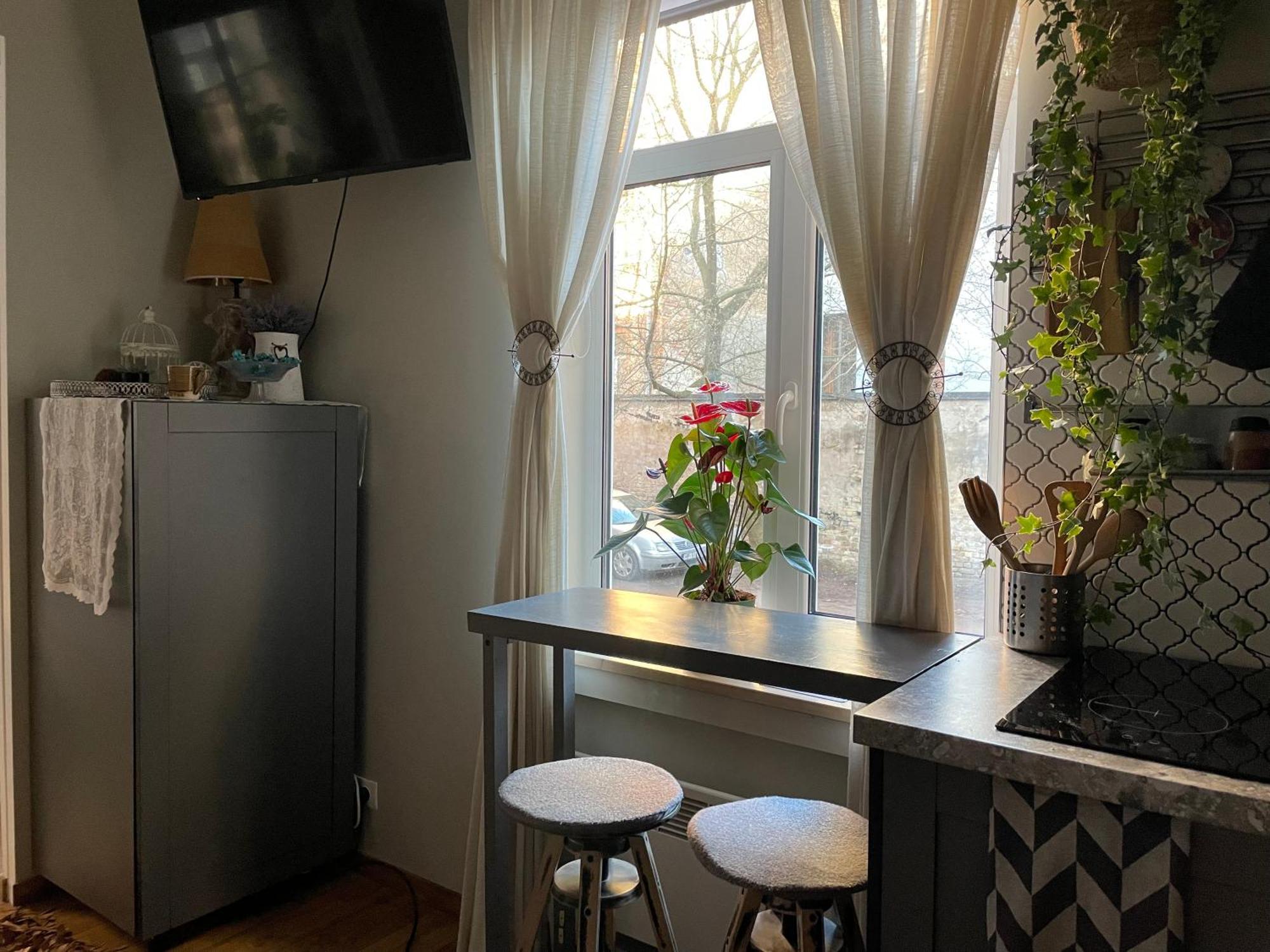 Pristine 1Br Apt In City Center W/ Patio And Parking Рига Экстерьер фото